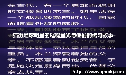 猫街足球明星的璀璨星光与他们的传奇故事